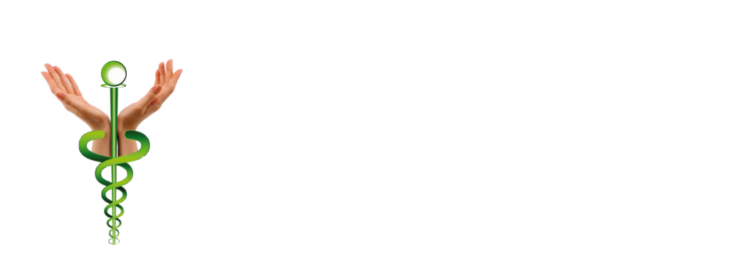 logo sirley ferreira